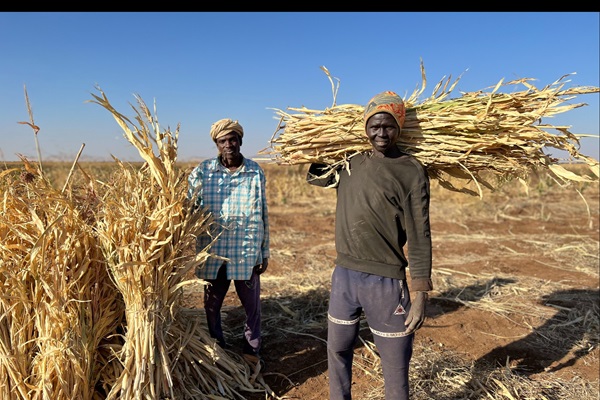 ©FAO/Eilaf Abdelbasit