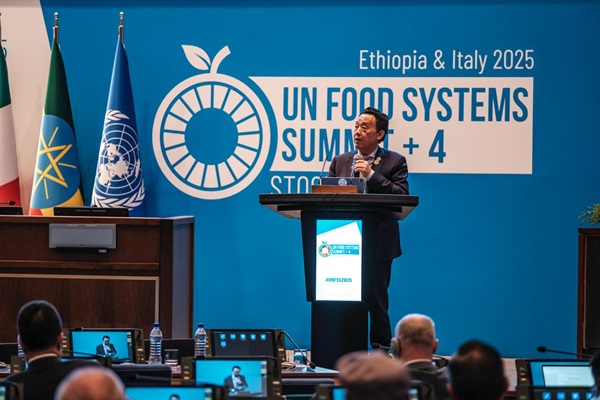 ©FAO