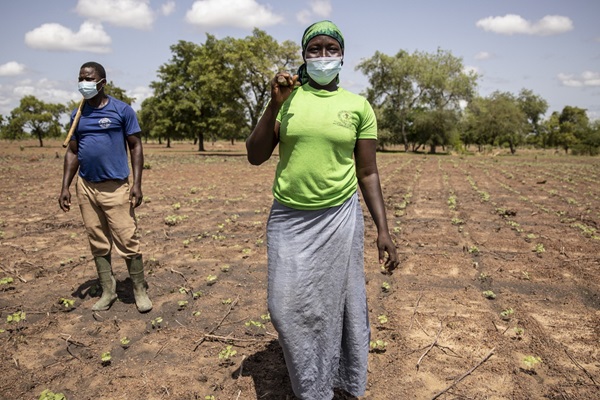 ©FAO / Olympia de Maismont