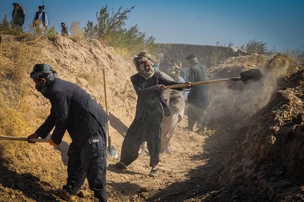 ©FAO/Lydia Limbe