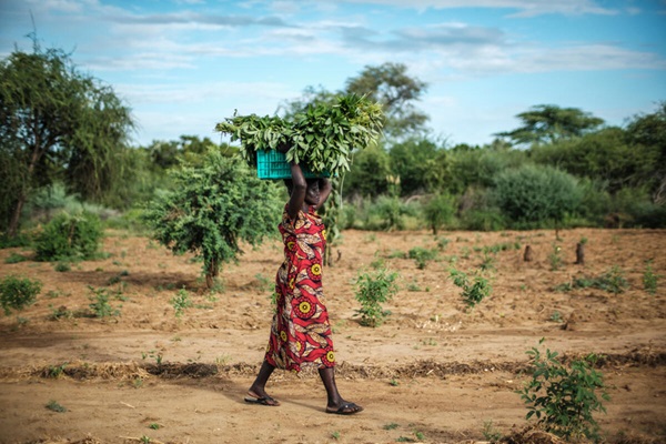 © FAO/Eduardo Soteras