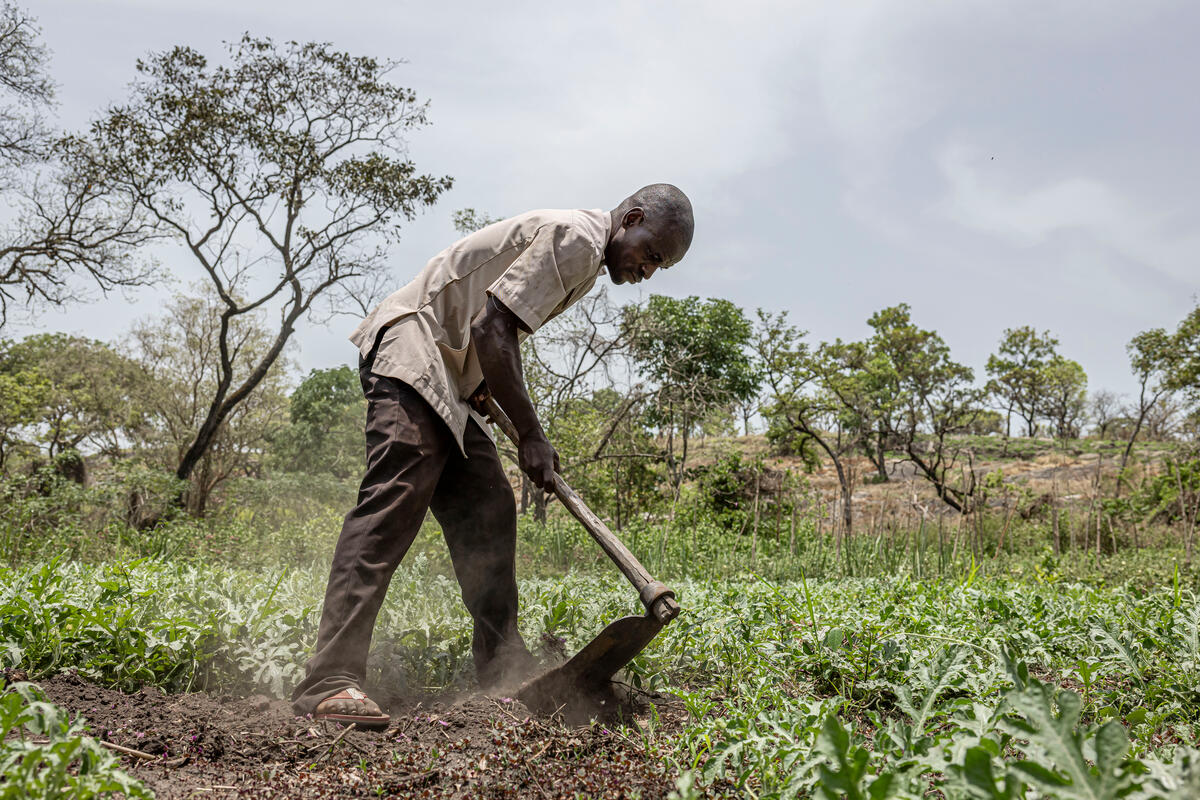 © FAO/Arete/Patrick Meinhardt