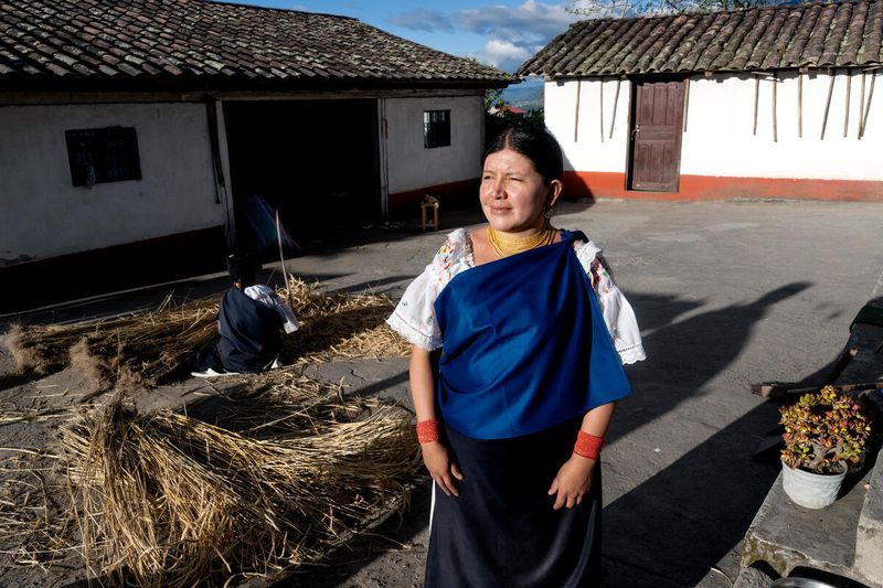 © FAO /  Johanna Alarcón