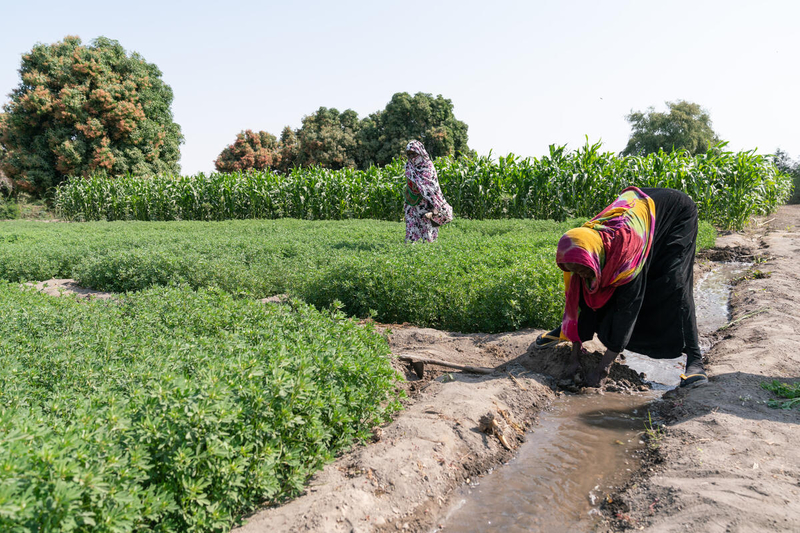 ©WFP/ Photogallery