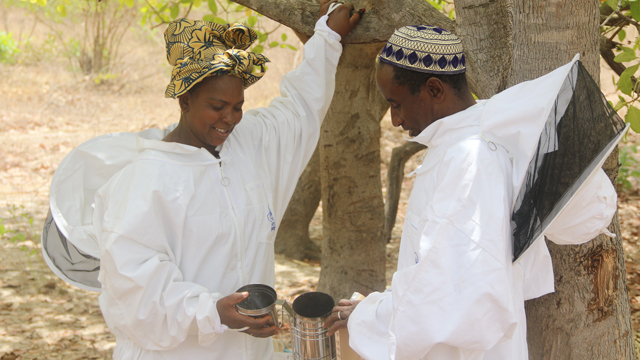 ©FAO/ Yacine Cissé