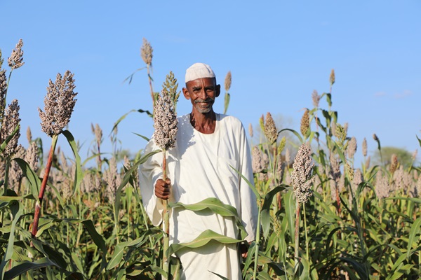 ©FAO/Khalid Ali