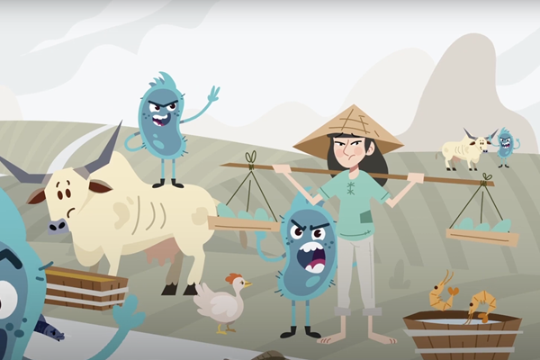 antimicrobial resistance