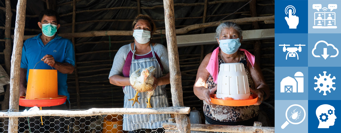 Webinar: ICT-enabled intersectoral collaboration to tackle highly pathogenic avian influenza (HPAI) in Latin America and the Caribbean Region