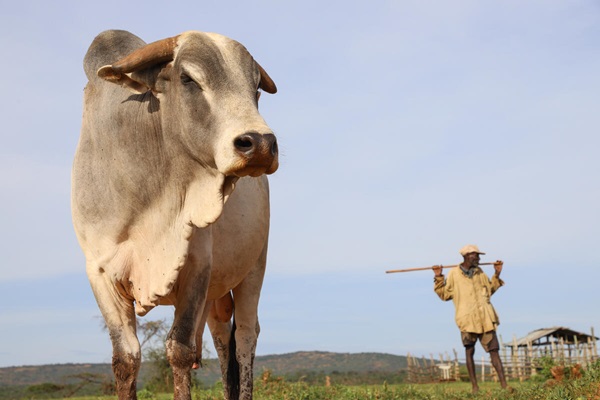 Ethiopia