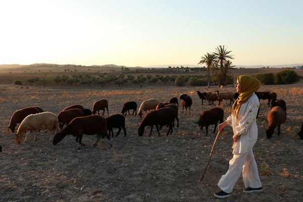 © FAO/Anis Mili