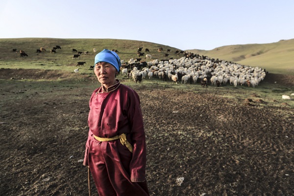 © FAO/K.Purevraqchaa