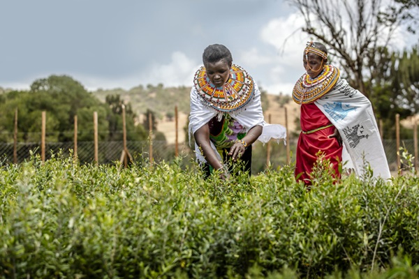 KENYA_ONEHEALTH