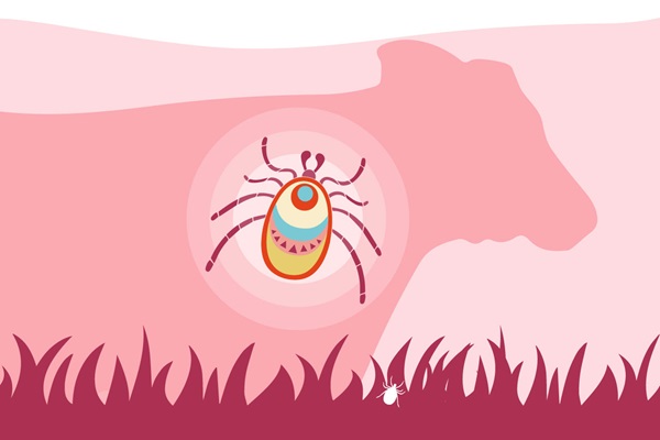 Tick-card