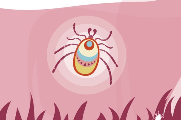 Tick_control_consultation