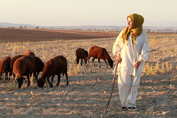 tunisia