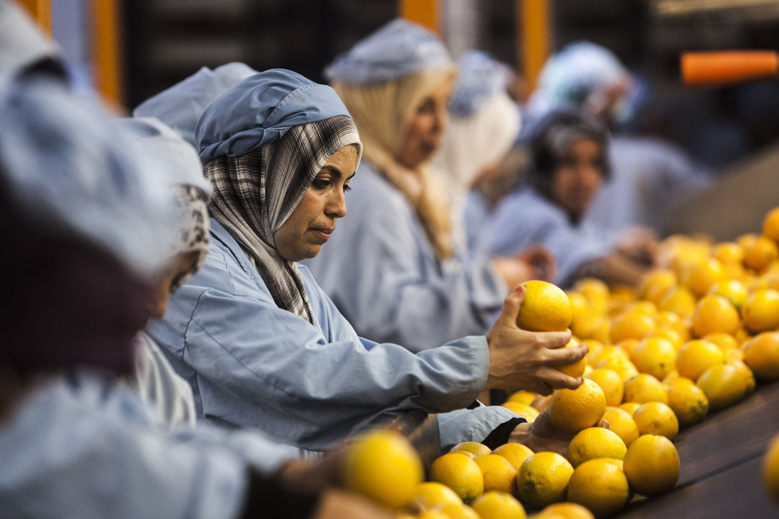 © FAO/Alessandra Benedetti