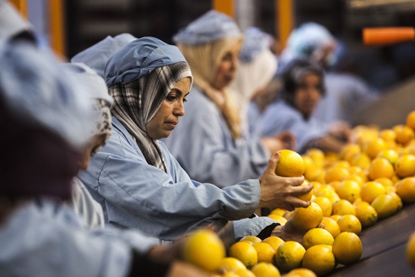 © FAO/Alessandra Benedetti