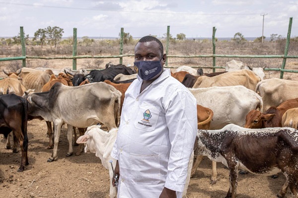 © FAO/Patrick Meinhardt