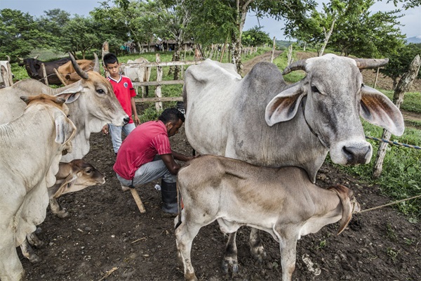 Uniting for global health and development