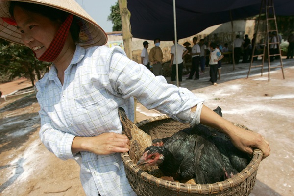 viet-nam-fights-back-with-sweeping-vaccination-campaign
