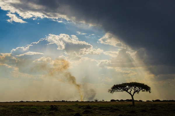 Zambia