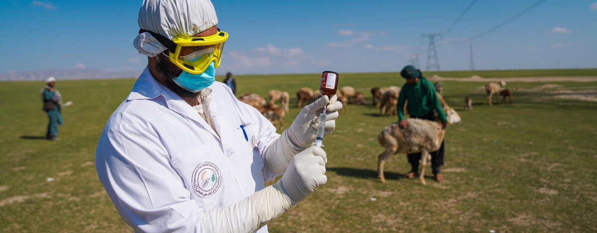 Quantifying animal disease burden to contribute towards return-on-investment calculations in One Health projects