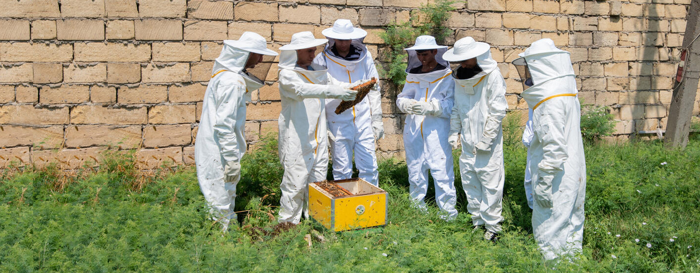 © FAO/Javid Gurbanov
