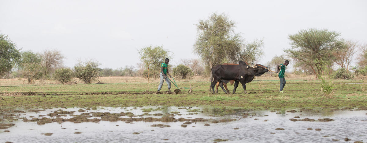 Burkina Faso builds wildlife surveillance capacity to combat future pandemics