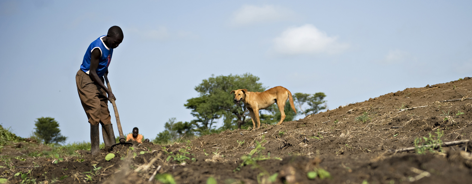 © FAO/Walter Astrada
