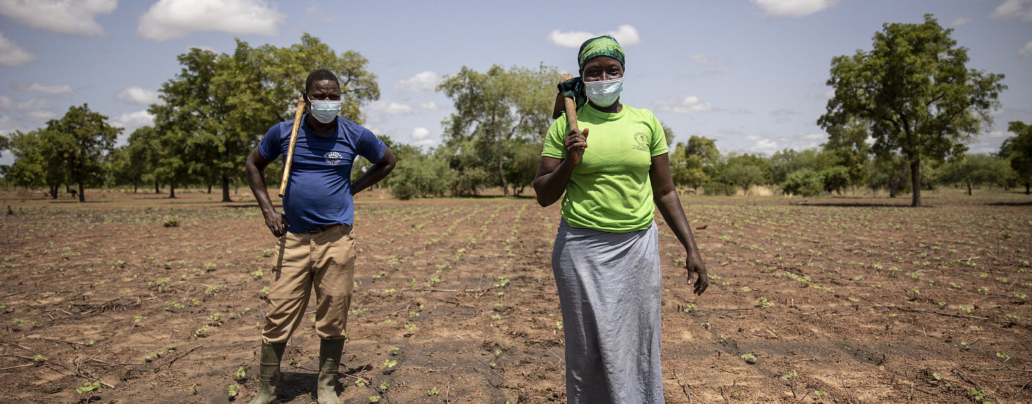 © FAO/Olympia de Maismont © FAO/Olympia de Maismont