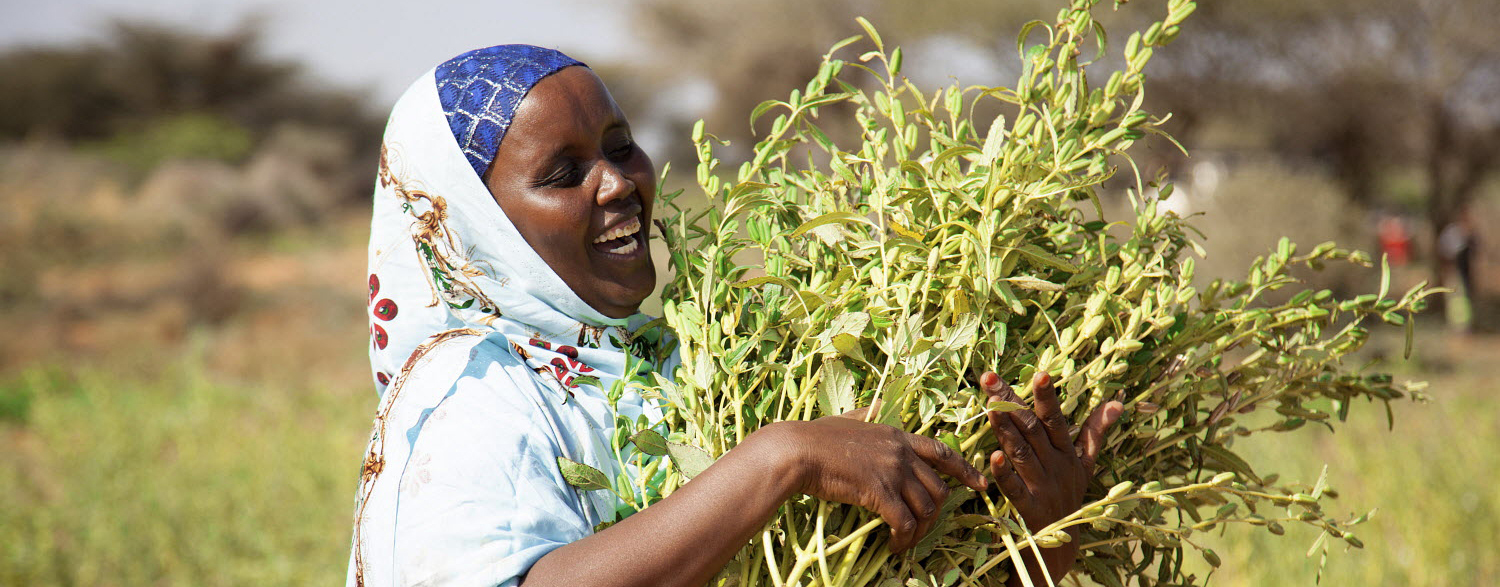 © FAO/Isak Amin