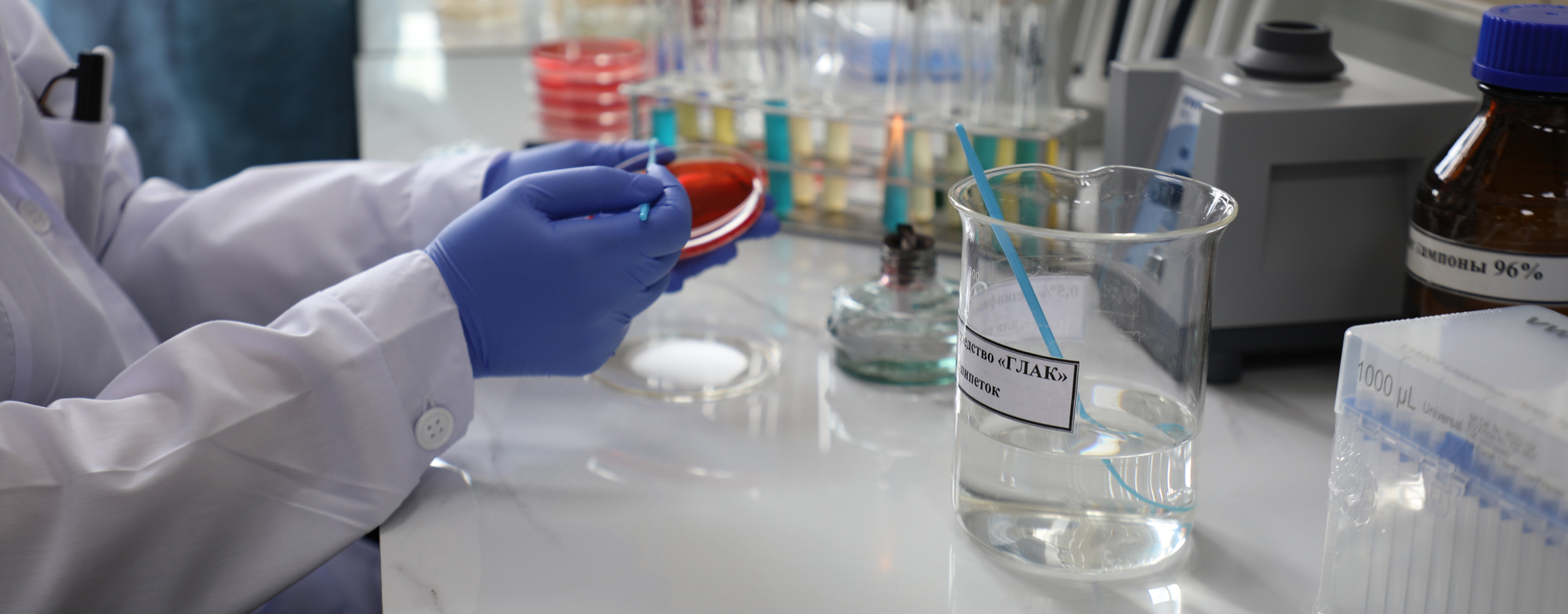 Kazakhstan strengthens veterinary laboratories in AMR surveillance with support from FAO and the Pandemic Fund