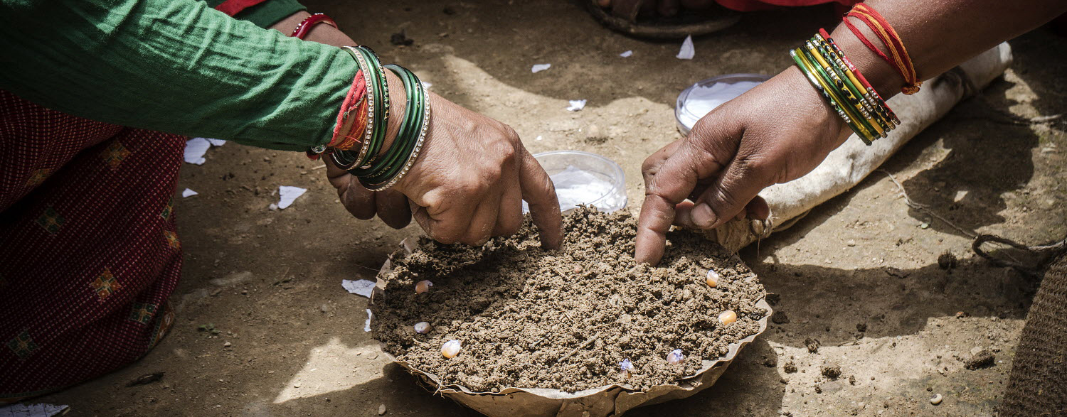 © FAO/Harsha Vadlamani Nepal