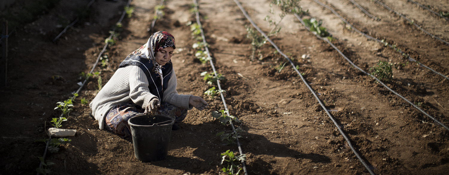Paraguay © FAO:Marco Longari