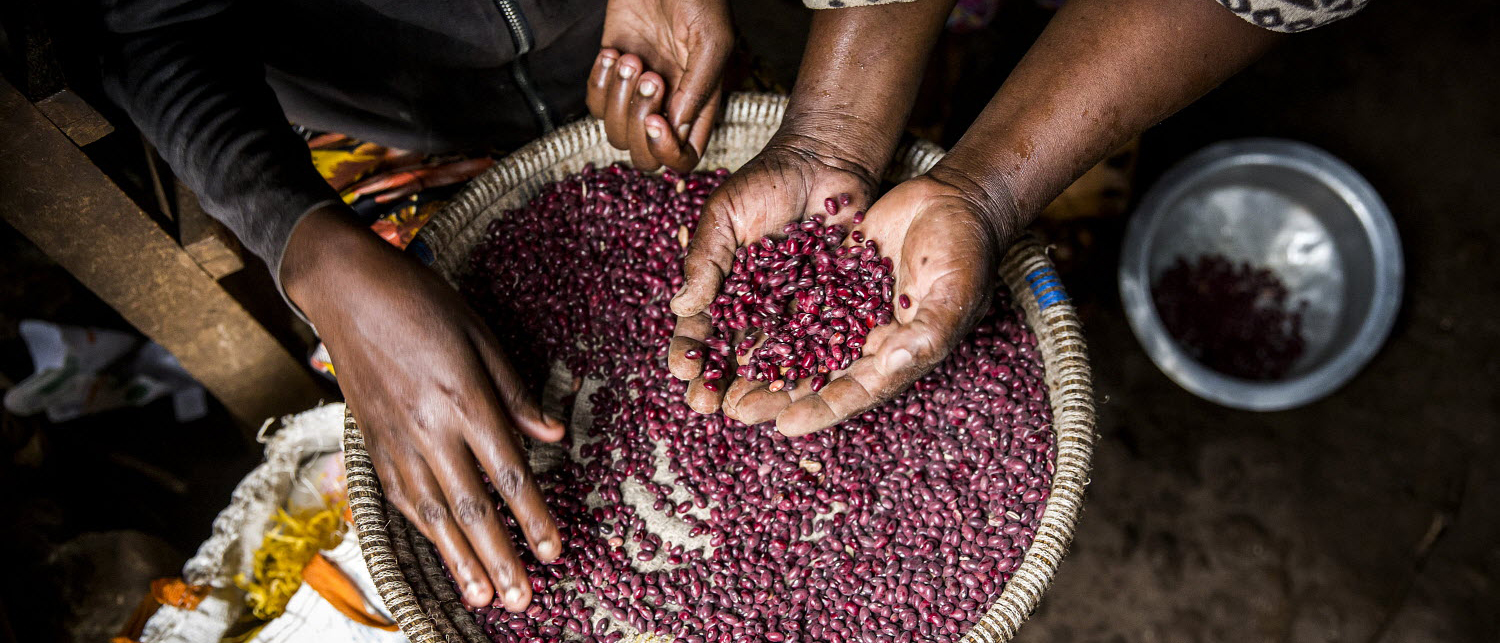 © FAO Andrew Esiebo