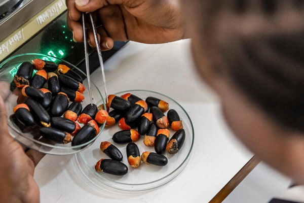 Strengthening One Health initiatives