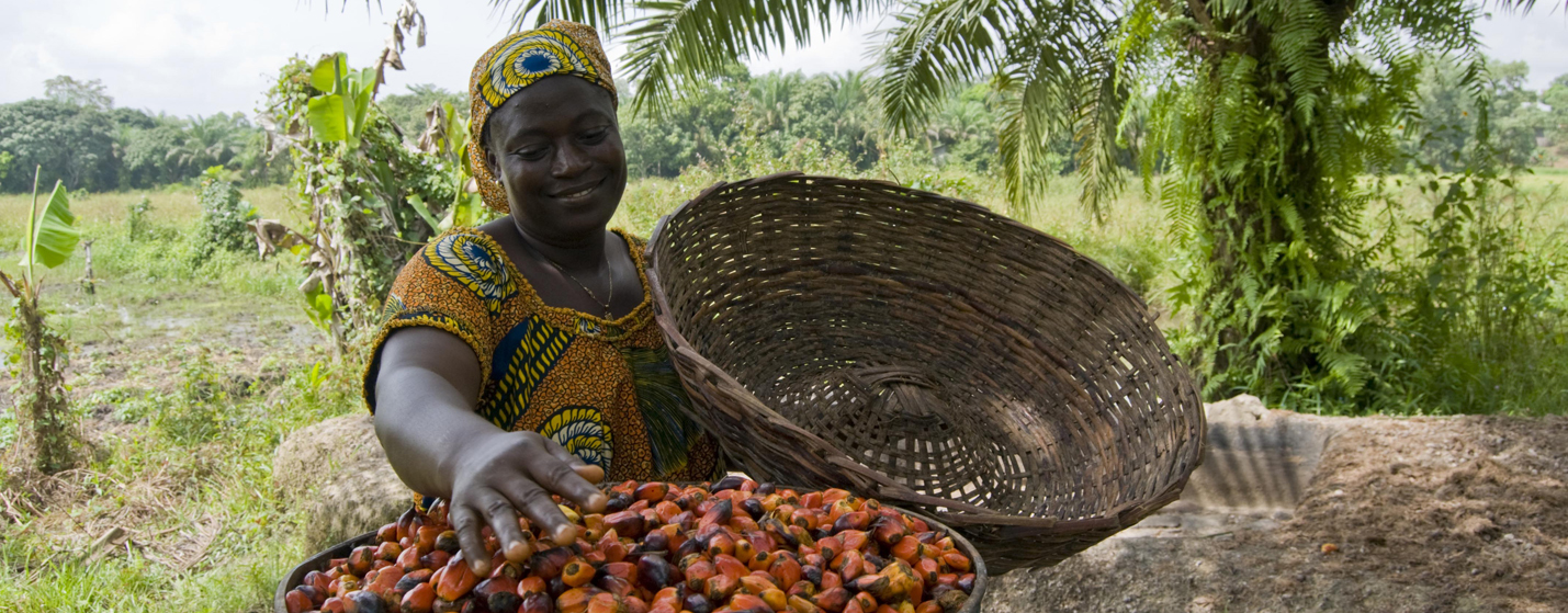 © FAO/Sia Kambou © FAO/Sia Kambou
