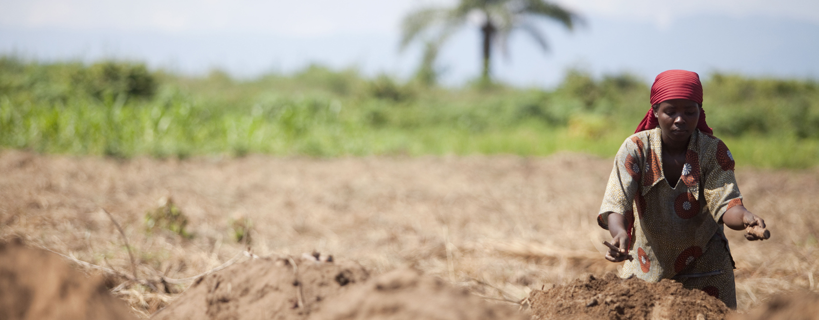 © FAO/Olympia de Maismont © FAO/Olympia de Maismont