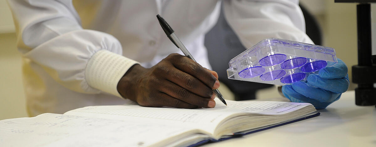 © FAO/Simon Maina