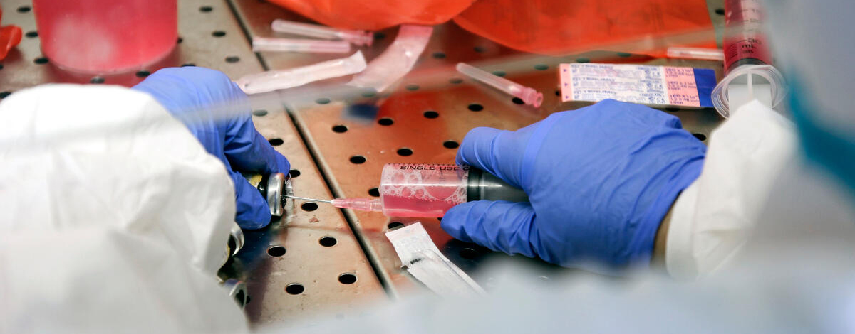 © FAO/Charlotte Mikkelborg