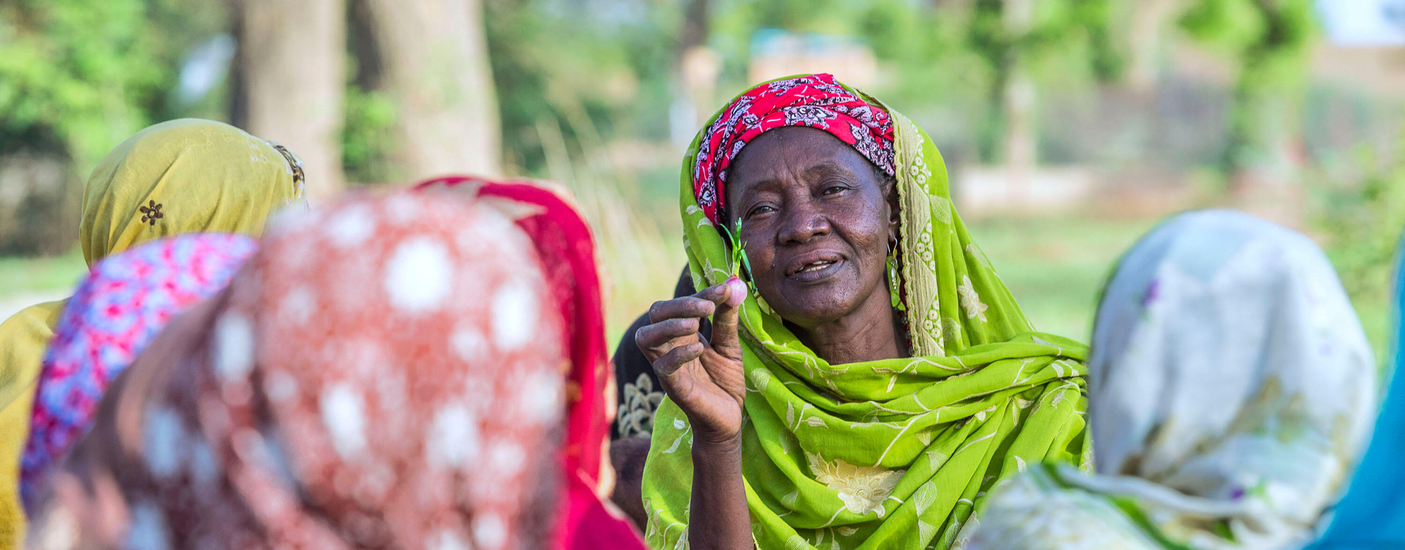 © FAO/Andrew Esiebo