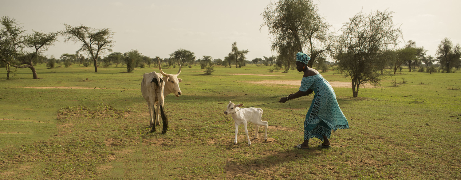 © Benedicte Kurzen/NOOR for FAO © Benedicte Kurzen/NOOR for FAO