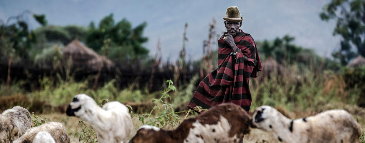 © FAO Walter Astrada