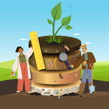 World Soil Day 2024
