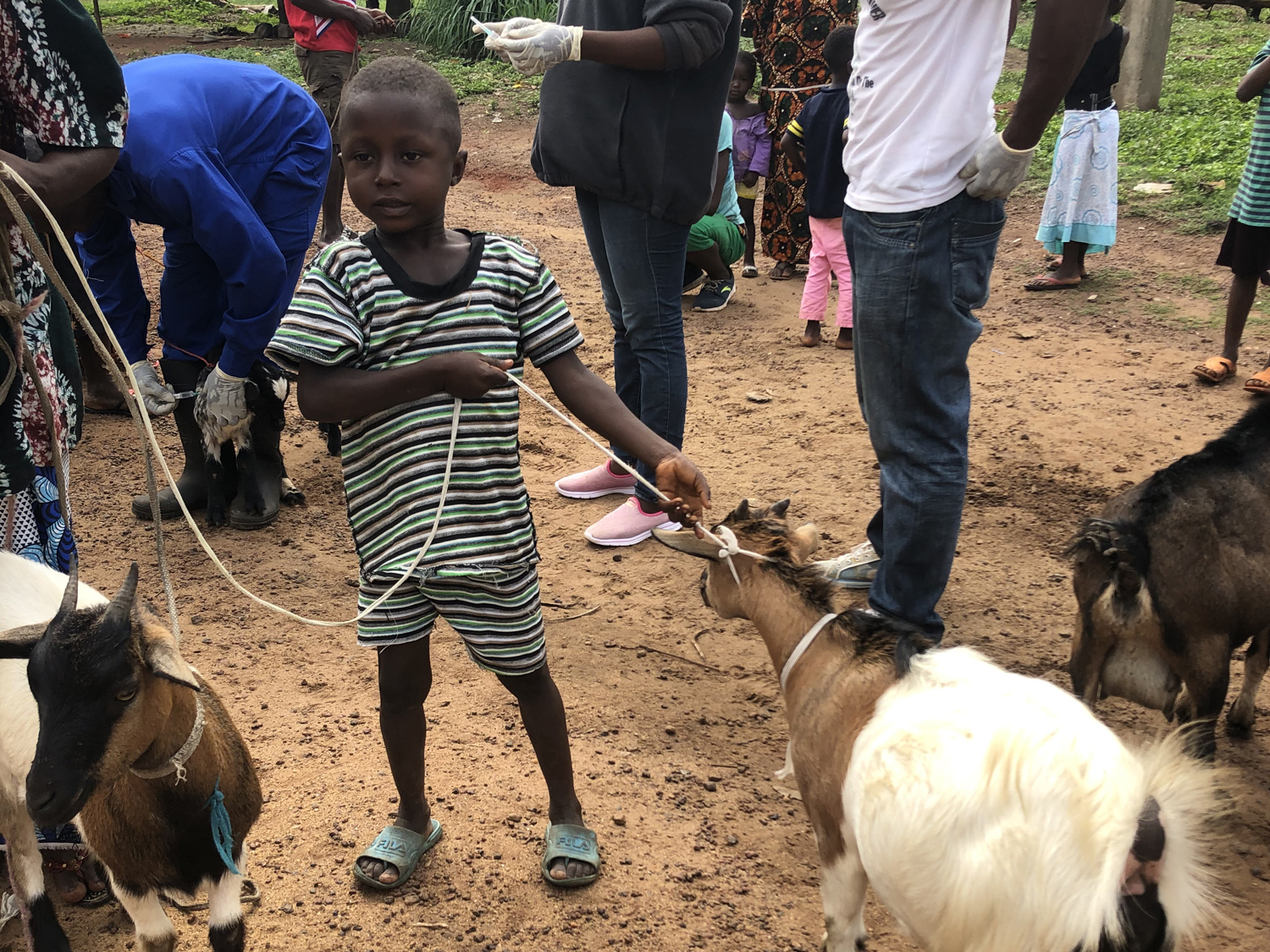 Boy with goat_Sierra Leone Boy with goat_Sierra Leone