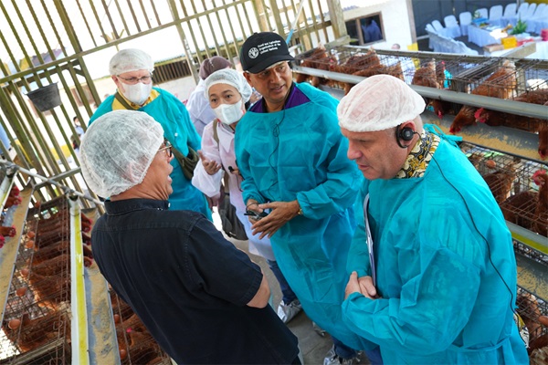 Building resilience to emerging infectious diseases through One Health