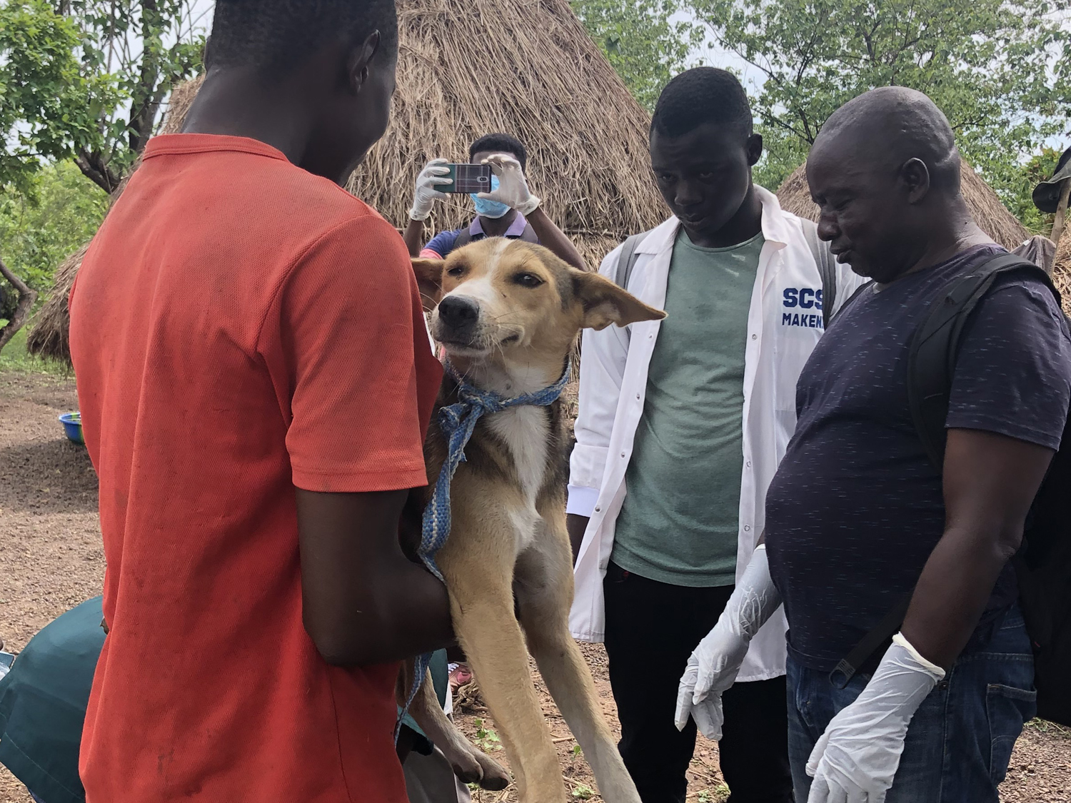 FAO ECTAD Sierra Leone dog being held_SL