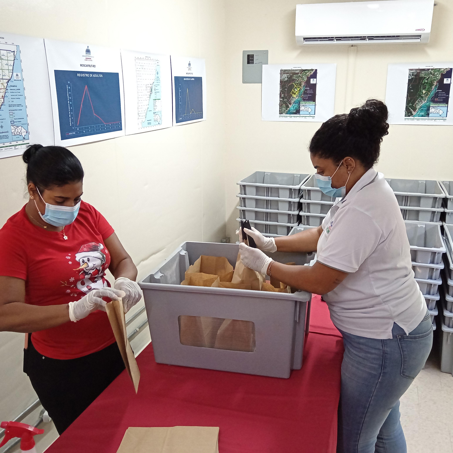 Photo credit: National plant protection organization of the Dominican Republic dominican republic