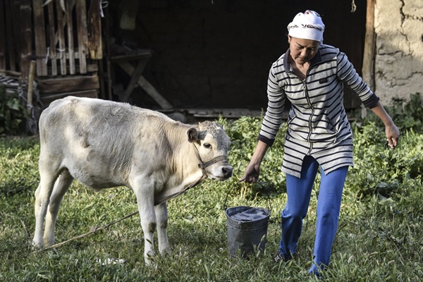 © FAO Vyacheslav Oseledko