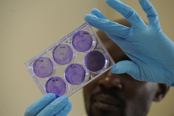© FAO/Simon Maina
